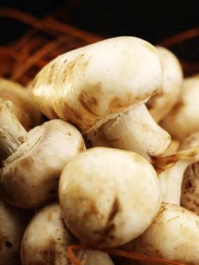 siyah bir zemin üzerine sarı sepet içinde mantar