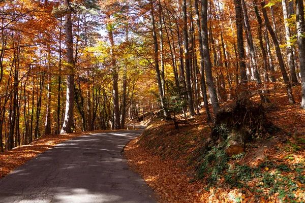 Die Landschaft Wurde Warmen Herbst Einem Strahlend Sonnigen Tag Auf — Stockfoto