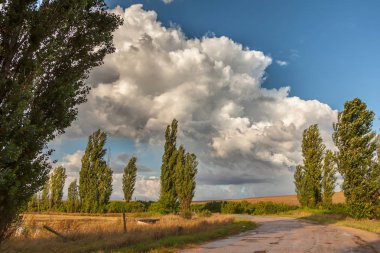 Yağmurdan önce ağaçlarla ve tarlalarla manzara