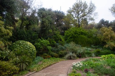 Botanik bahçesinde yağmurlu bir gün