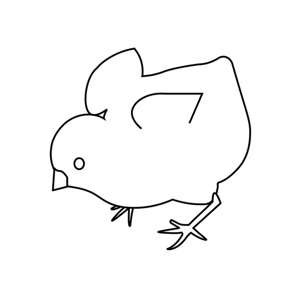 Ilustración Simple Del Icono Vector Pollo Para Web — Archivo Imágenes Vectoriales