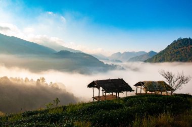 Kabin deniz sis yerler yeşil