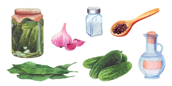 Set van gepekelde komkommers, Ingrediënten voor het koken — Stockfoto