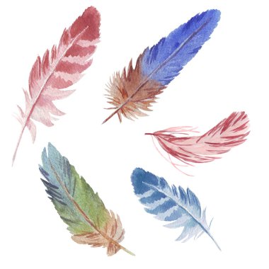 El çizimi suluboya tüy seti suluboya çizimi