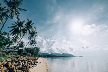Gündoğumu tropik manzaraya. Dawn bir tropik ada, palmiye ağaçları, sakin deniz, parlak güneşin ve bulutların birlikte kumsala