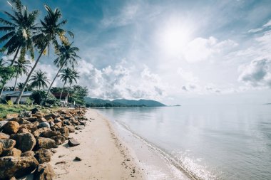 Gündoğumu tropik manzaraya. Dawn bir tropik ada, palmiye ağaçları, sakin deniz, parlak güneşin ve bulutların birlikte kumsala