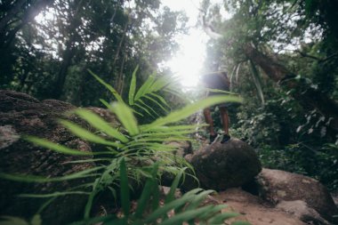 Tropikal bir şelale taşlara yakışıklı adam. Suya yakın buzlu yeşil tropikal ormanda genç adam