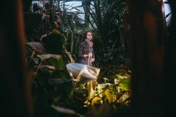 Uma Jovem Caminha Pela Estufa Menina Entre Evergreens Jardim Inverno — Fotografia de Stock