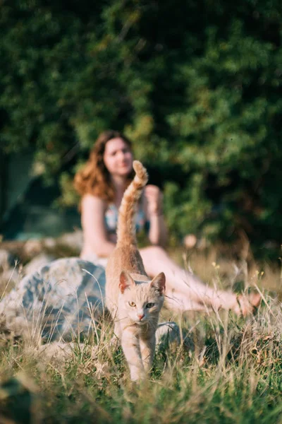 Mädchen spielt mit einer Katze im Freien. — Stockfoto