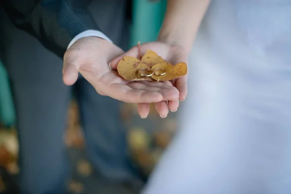 Anéis de casamento e mãos da noiva e noivo close-up — Fotografia de Stock