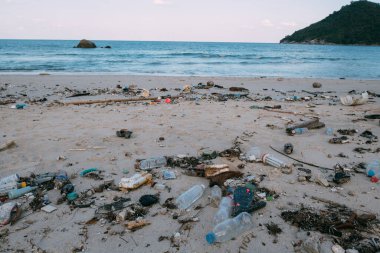 Çöplerle dolu pis bir sahil. Plastik çöp, kumda bir sürü ayakkabı. Okyanusu fırlatan çöpler. Sular çekildikten sonra kıyı ve çöp yığınları