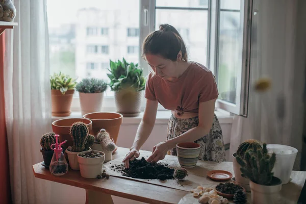 Young woman transplant cacti at home. Beautiful girl at work with house plants in the apartment. Spring potted flower care