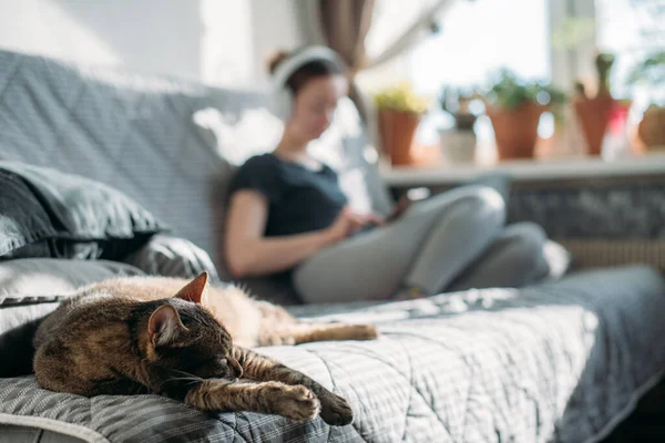 A cat and a girl are sitting on a sofa with a phone in their hands. A young woman is relaxing at home, listening to music on headphones, watching videos on a smartphone