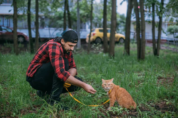 Hombre Camina Parque Con Gato Arnés Joven Paseo Parque Verde —  Fotos de Stock