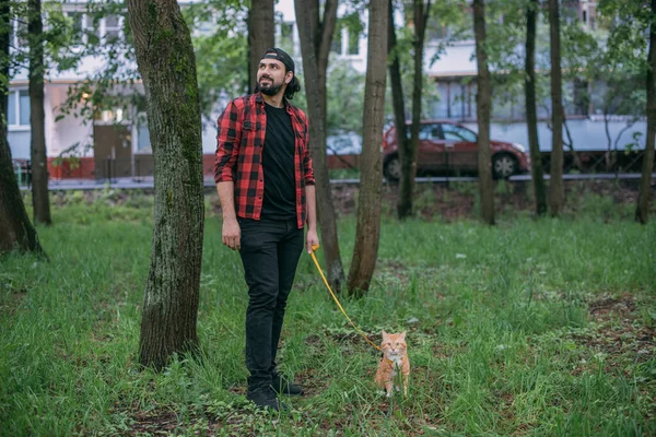 Homem Caminha Parque Com Gato Num Arnês Jovem Passeio Parque — Fotografia de Stock