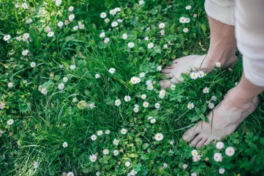 Yeşil çimlerin üzerinde çıplak erkek bacakları. Taze yaz yeşilliklerinde ve çiçeklerde bacakların yakınlaşması.