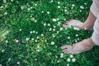 Yeşil çimlerin üzerinde çıplak erkek bacakları. Taze yaz yeşilliklerinde ve çiçeklerde bacakların yakınlaşması.