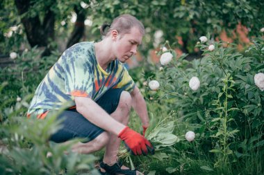 Bahçede bir adam çalışıyor, yabani otlarla uçuyor, çimlerle ilgileniyor. Parlak iş kıyafetleri içinde genç bir adam çimenleri söker, şakayık çalılarının yakınındaki toprağı temizler.