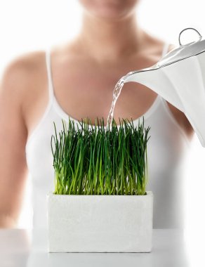 Beyaz açık arka plan üzerinde Çim Sulama kadın