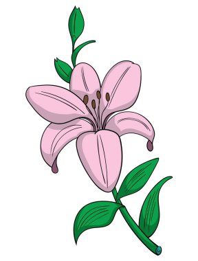 cartoon style Lily  icon of  on white, vector illustration