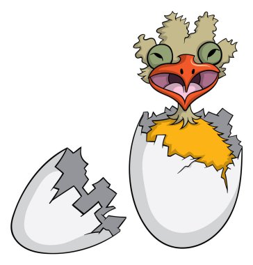 yumurta üstünde kutsal kişilerin resmi beyaz, vektör çizim karikatür tarzı kuş