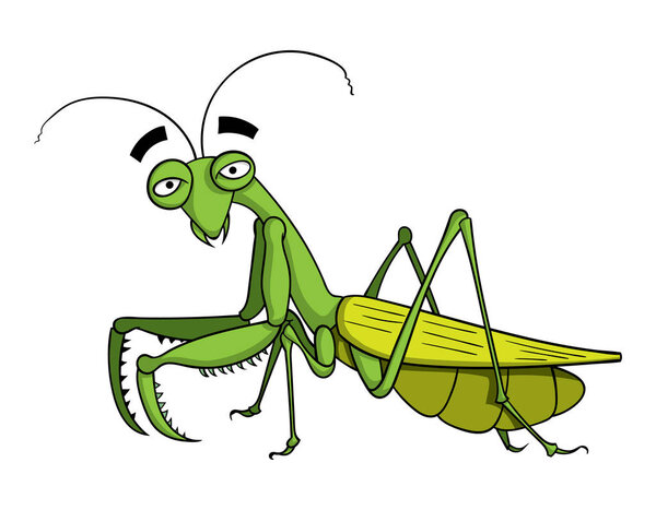 cartoon character of cute green grasshopper isolated on white background, vector, illustration 