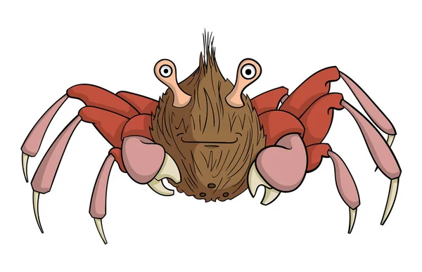 Cartoon Hybride Van Krab Kokosnoot Geïsoleerd Een Witte Achtergrond Vector — Stockvector