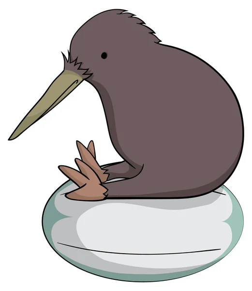 Kiwi Isoliert Auf Weißem Hintergrund — Stockvektor
