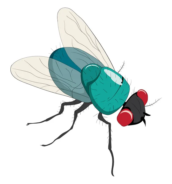 Mosca Aislada Sobre Fondo Blanco — Vector de stock