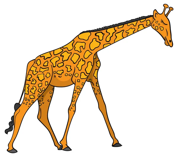 Giraffa Isolata Sfondo Bianco — Vettoriale Stock