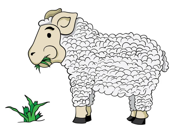 动画片绵羊吃草查出在白色背景 — 图库矢量图片