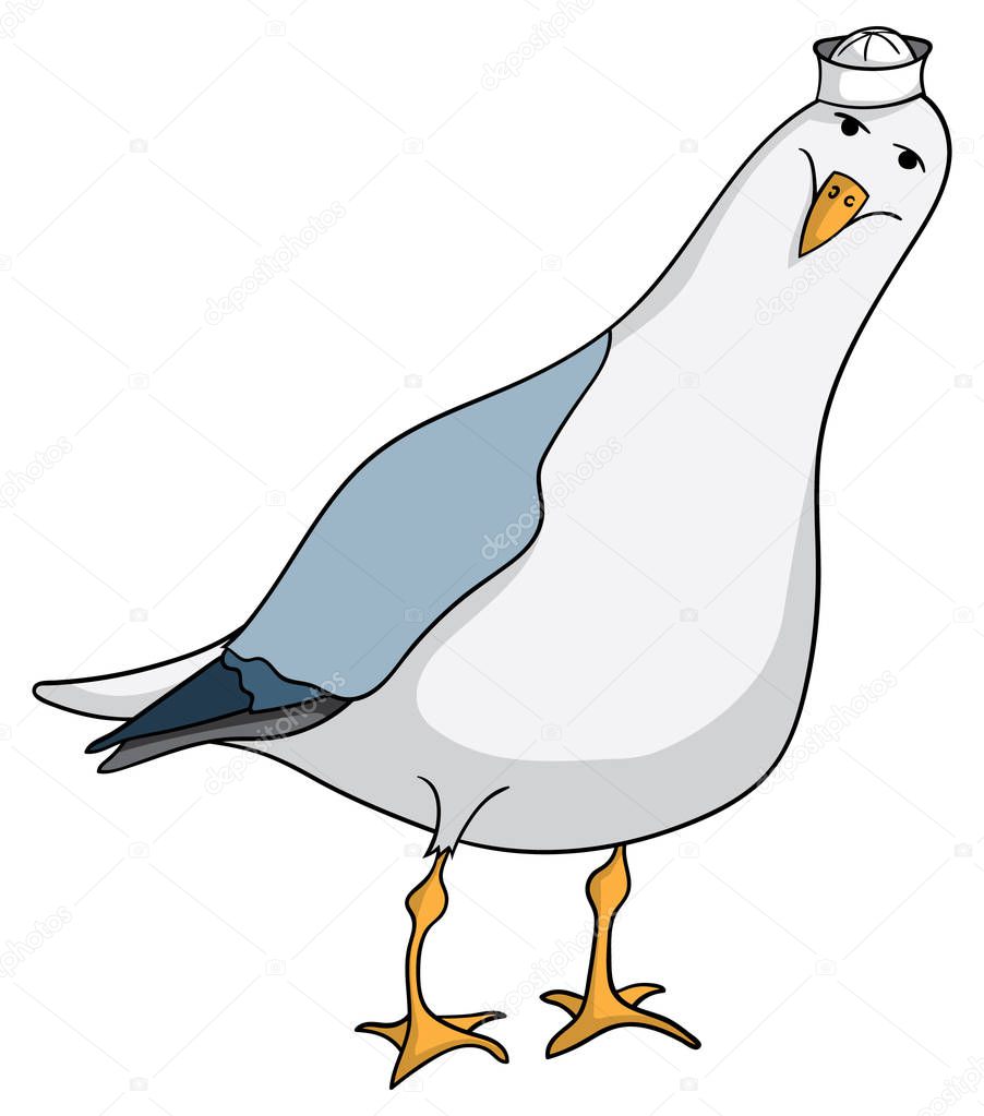Friendly cartoon seagull with sailor hat isolated on white background