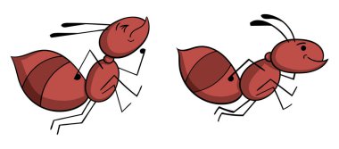 İzole üzerinde beyaz arka çalışan iki çizgi film karınca