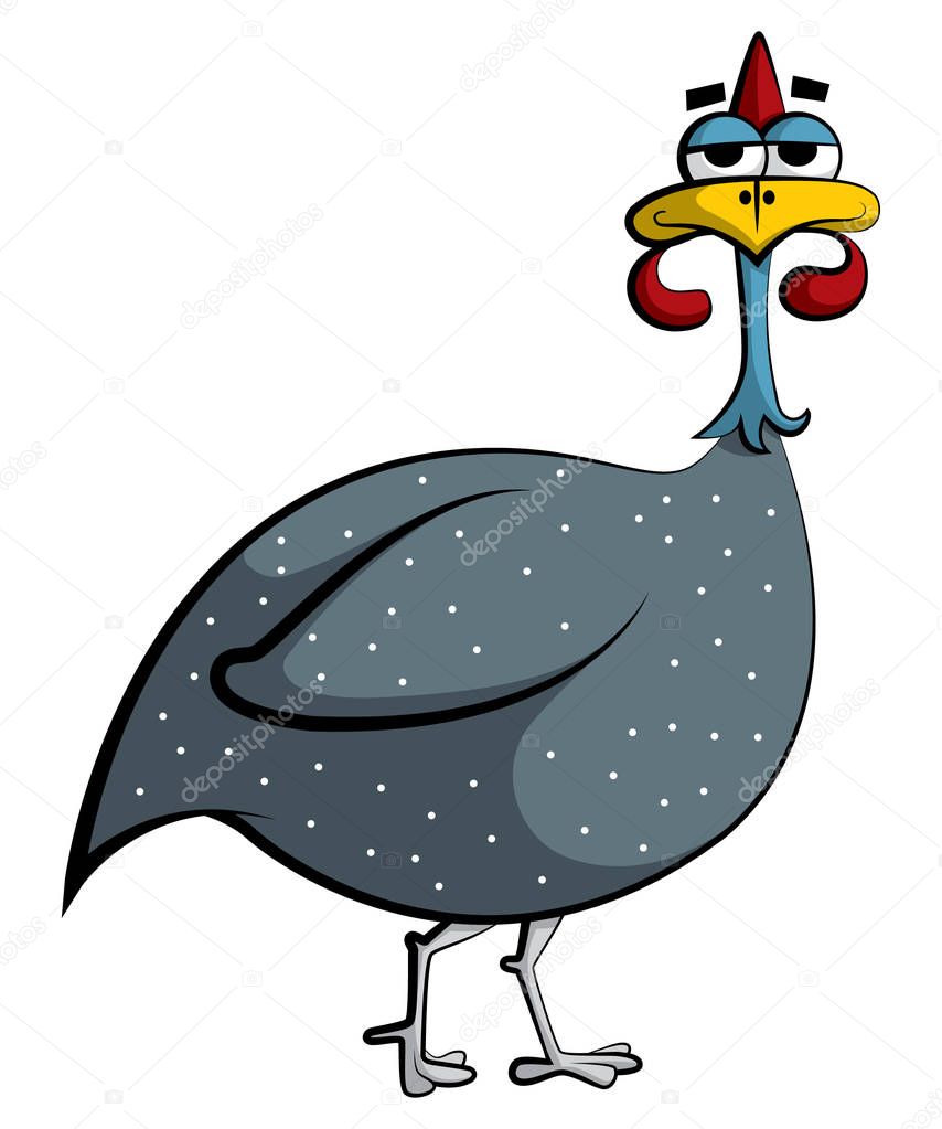 Cartoon illustration of a quirky, goofy, cute guinea fowl bird with white dots looking at you.
