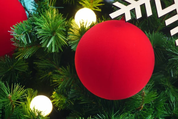 Boule Rouge Sur Arbre Noël Pour Fond Image En Vente