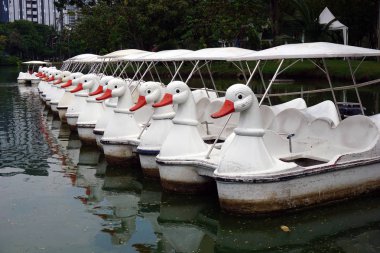 Ördek tekne Lumphini Park bangkok Tayland, iplik