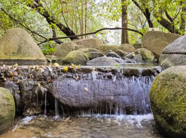 Bir parkta küçük bir damla su
