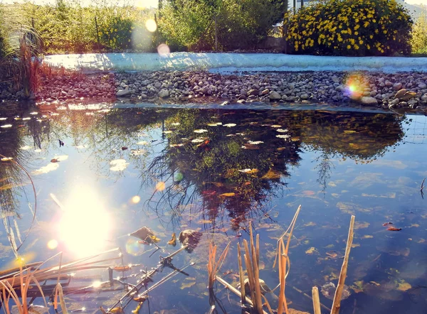 Small Lake Neighborhood — Stock Photo, Image