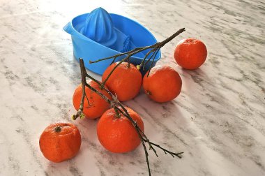 Sebze ve meyve ile statik doğa          