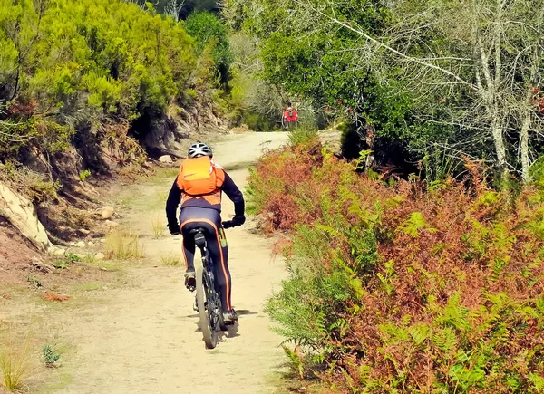 Mountain Bike Através Floresta — Fotografia de Stock