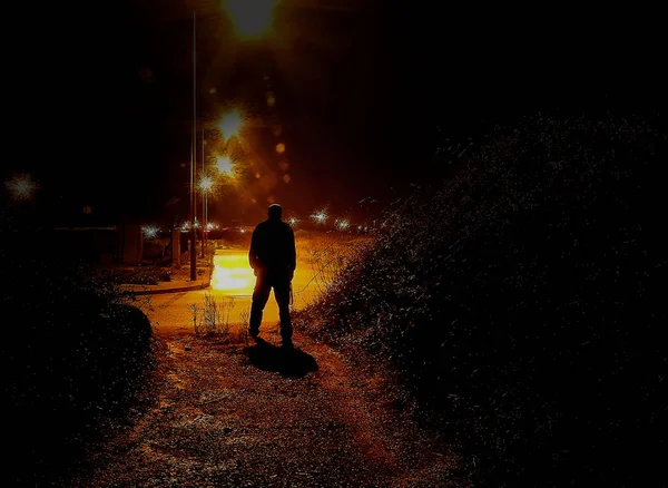 Şehir ışıkları ile gece siluet