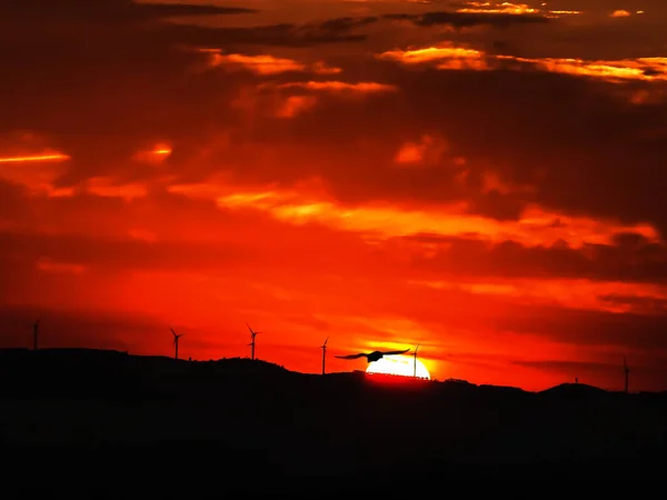 Утренний Пейзаж Восходом Солнца Холмами Ветряными Мельницами — стоковое фото