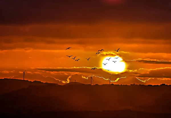 Slunečná Krajina Úsvitu Mraky Hejnem Ptáků — Stock fotografie