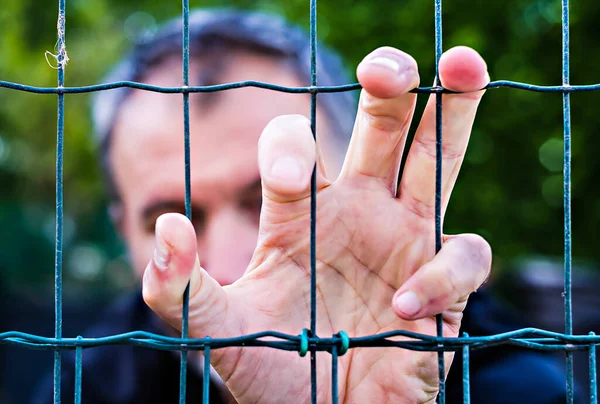 Een Volwassen Man Hand Hangend Aan Een Groene Draad Hek — Stockfoto