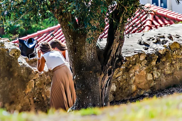 Młodzi Ludzie Pod Drzewem Oliwnym Rozmawiają Słońcem — Zdjęcie stockowe