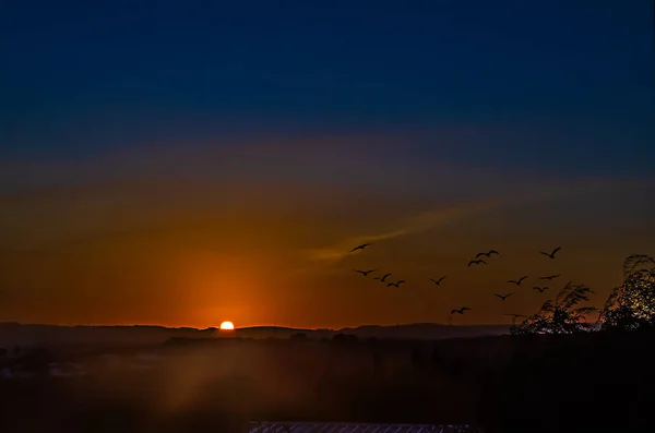 Wschód Słońca Pomarańczowy Niebieski Wzgórzami Stadem Ptaków Locie — Zdjęcie stockowe