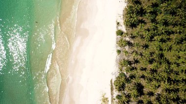 El Nido, Palawan, Filipinler 'deki güzel Nacpan Sahili kuş bakışı. Avuçlar, sahil. Okyanus.