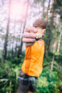 Çam ve gölün arka planında elinde tatlı, yenilebilir mantar (boletus) tutan kişi.