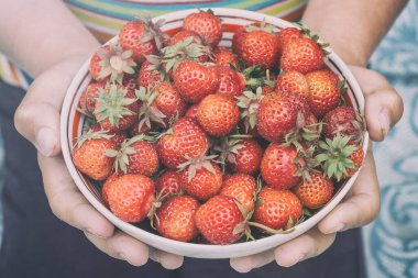 Kasedeki çilekler bir çocuğun ellerinde yatıyor.