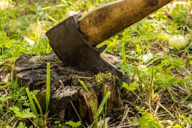 Bahçedeki çürüyen bir ağaca saplanmış eski bir balta.